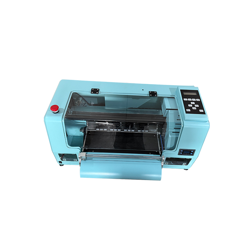Stampante DTF da 33 cm con agi - Commercial Printing Machine For Clothes recensione e prezzo